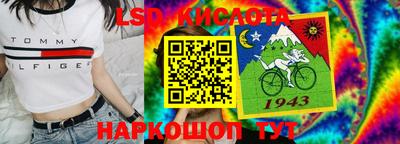 прущие грибы Дмитров
