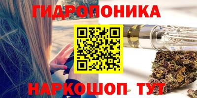прущие грибы Дмитров