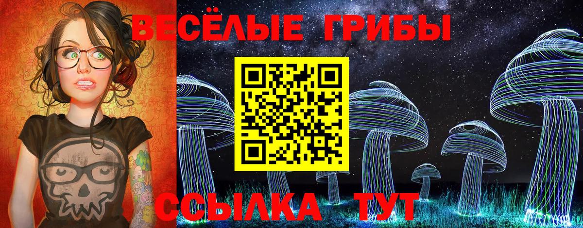 Галлюциногенные грибы Psilocybe Нижний Тагил